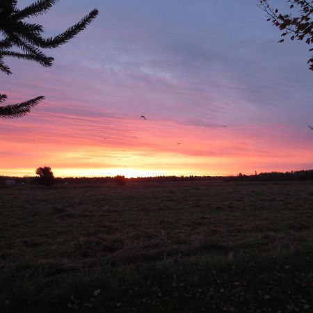 Sunbury Cove Winery Bed & Breakfast Miscouche Екстериор снимка
